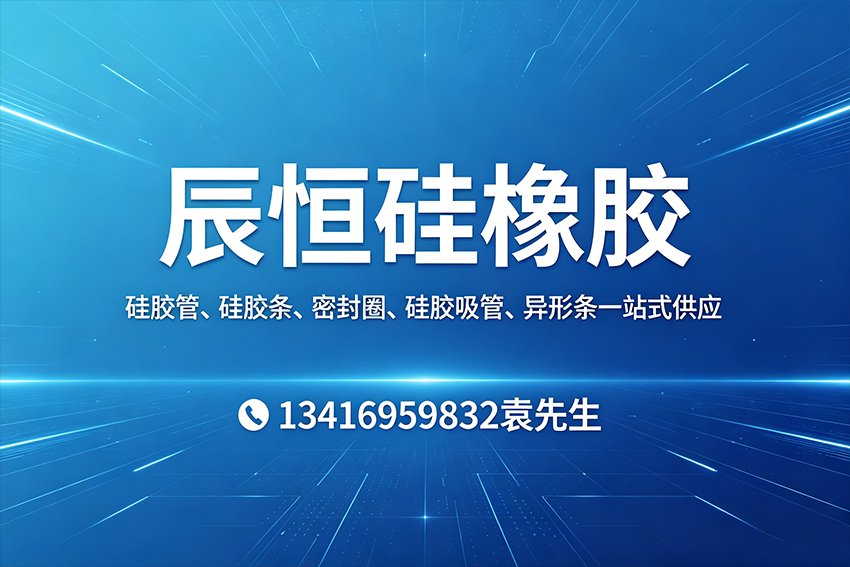 辰恒硅橡胶中山线上分站